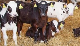 Dairy Research Partnership: investing in the future 